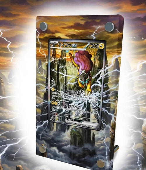 Raikou ex – Kaarthouder met achtergrond